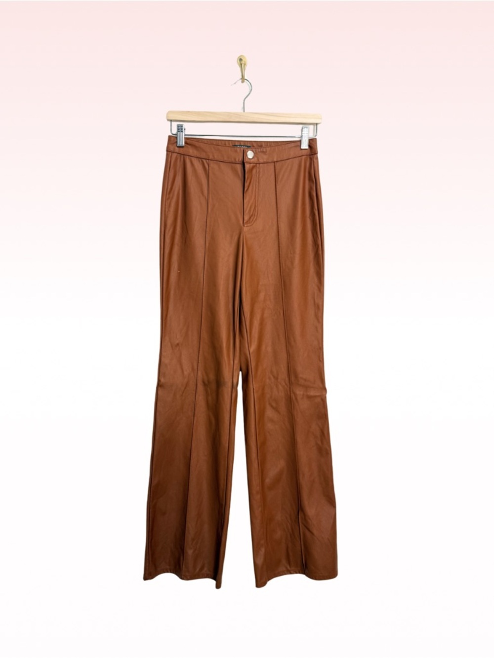 WILD FABLE Rust Orange Faux Leather Pants (Sz 2)